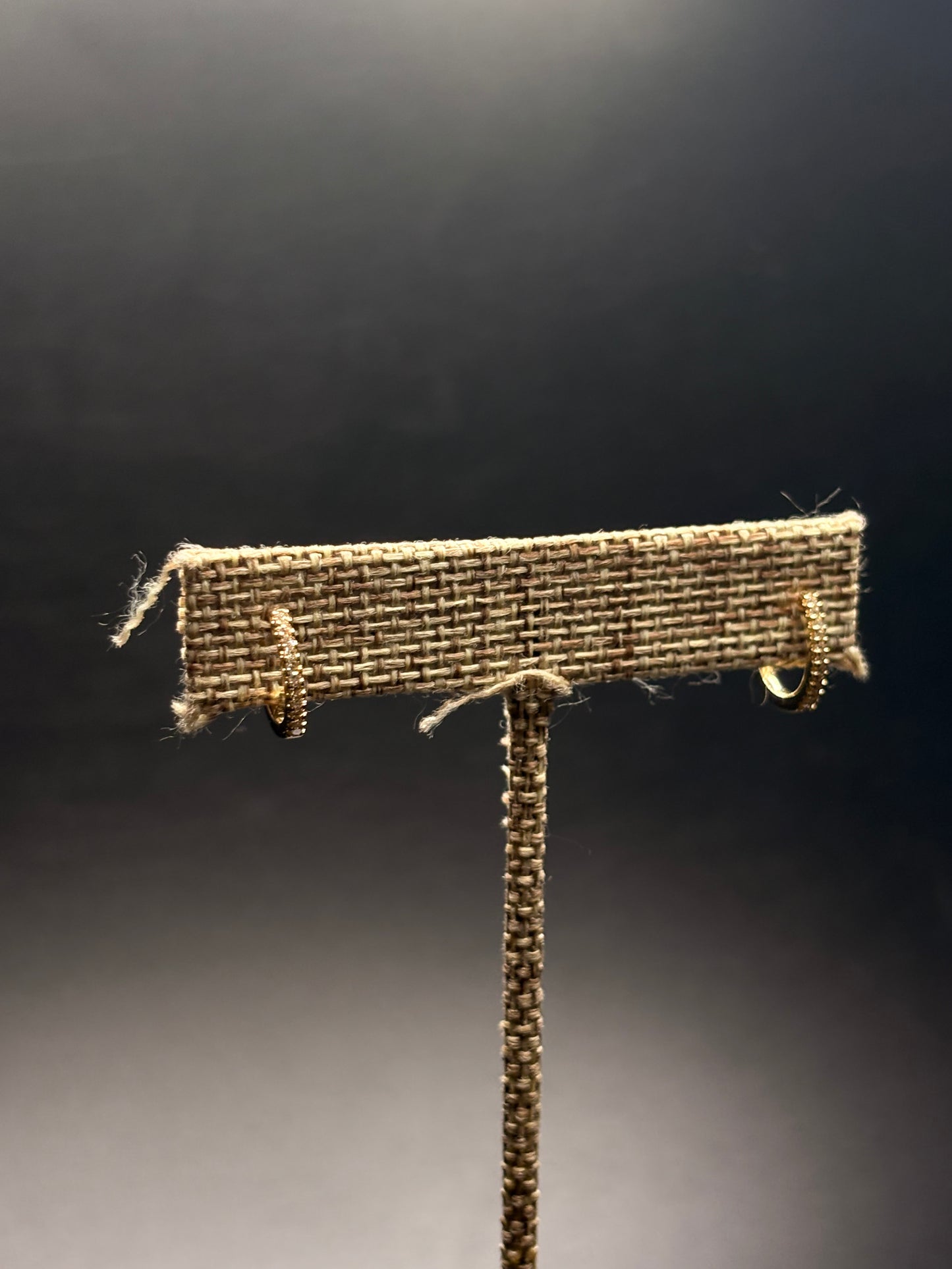 10kt Yellow Gold Natural Diamond Hoops