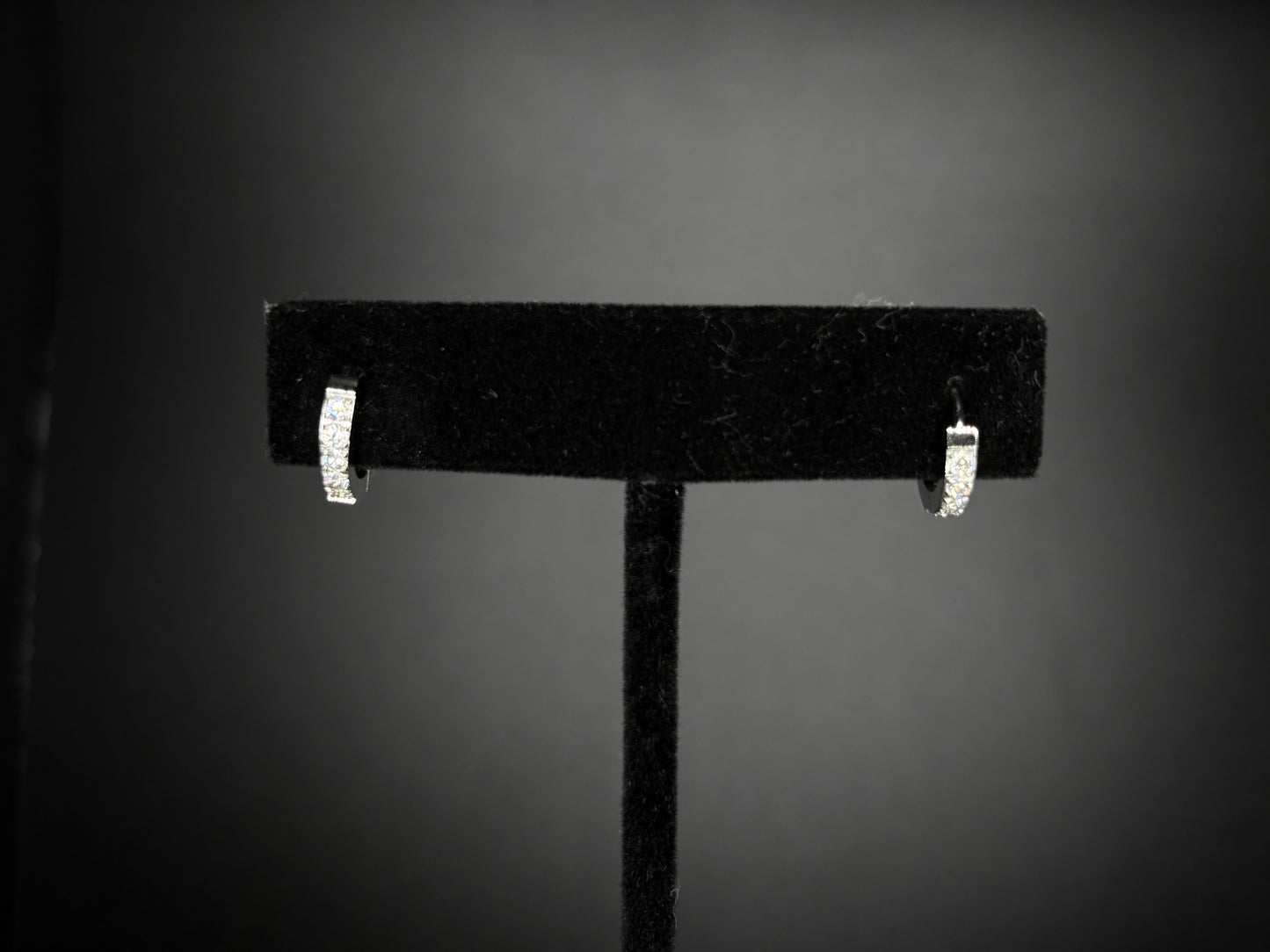 Stainless Steel with CZ Hoops