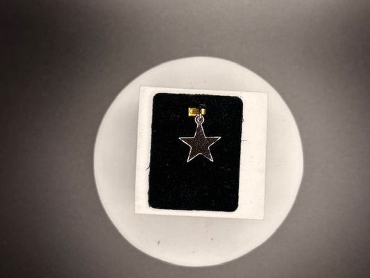 Sterling Silver Engraveable Star Charm